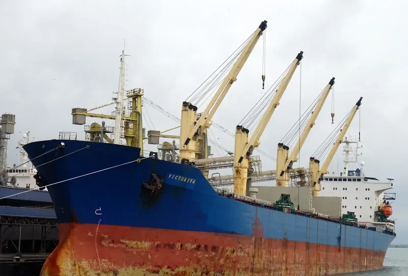 VICTORIYA Bulk Carrier IMO 9065912