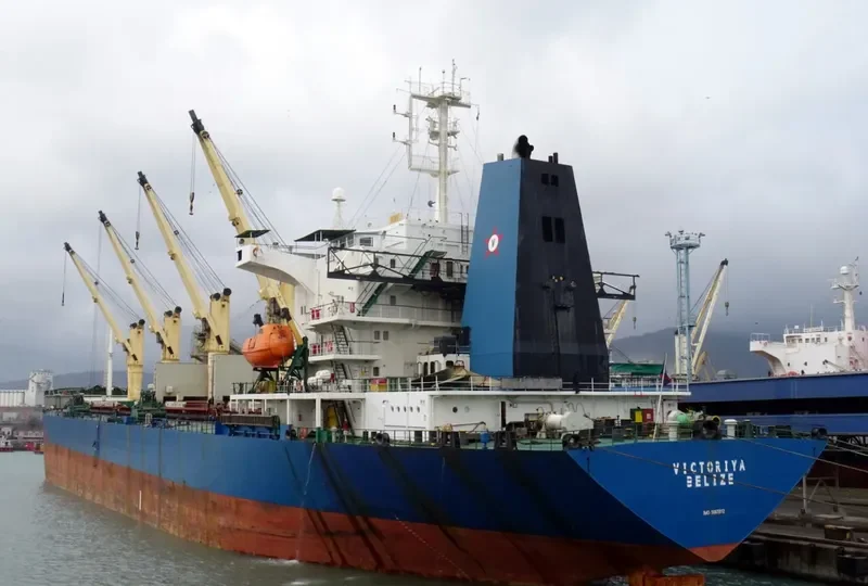 VICTORIYA Bulk Carrier IMO 9065912 photo 2
