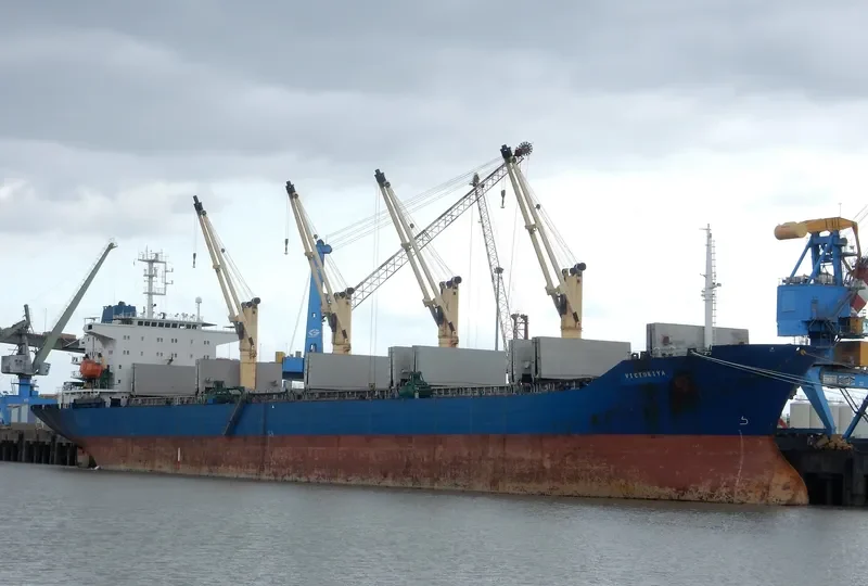 VICTORIYA Bulk Carrier IMO 9065912 photo 3
