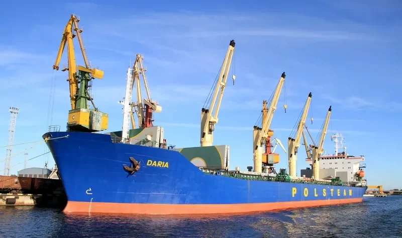 VICTORIYA Bulk Carrier IMO 9065912 photo 5