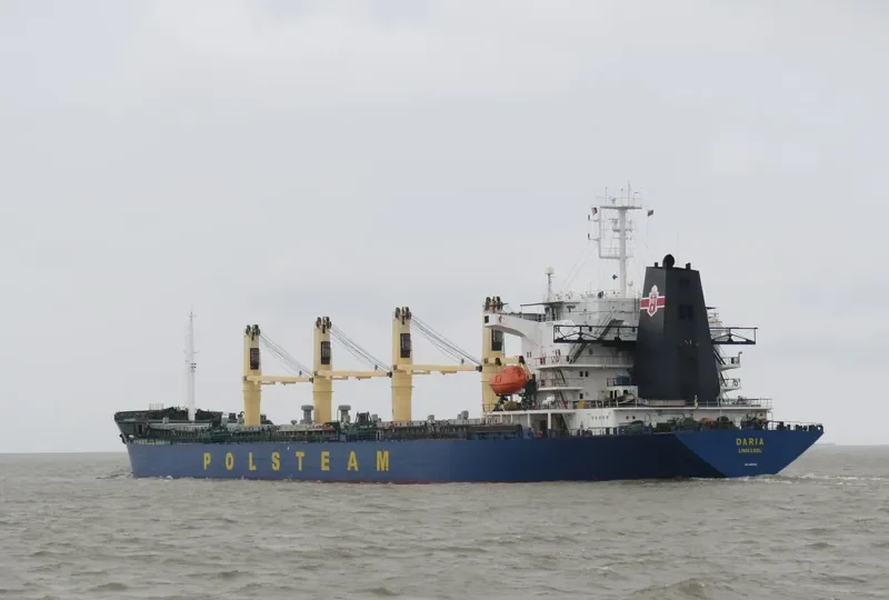 VICTORIYA Bulk Carrier IMO 9065912 photo 6