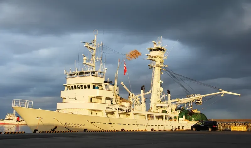 SHOKI MARU NO.36 General Cargo IMO 9066306