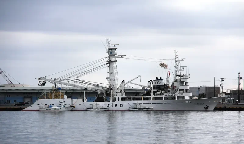 SHOKI MARU NO.36 General Cargo IMO 9066306 photo 2