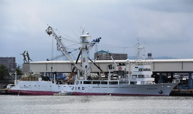 SHOKI MARU NO.36 General Cargo IMO 9066306 photo 3