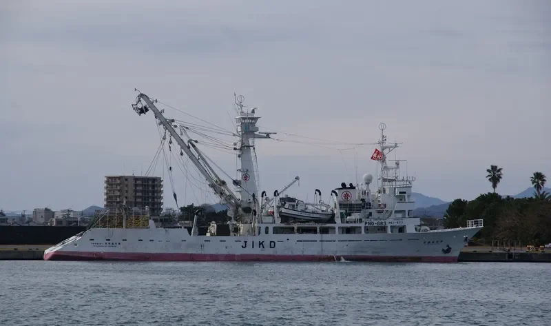 SHOKI MARU NO.36 General Cargo IMO 9066306 photo 7