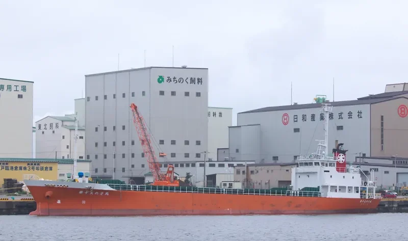 FORTUNE SUPREME General Cargo IMO 9066332