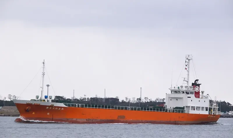 FORTUNE SUPREME General Cargo IMO 9066332 photo 2