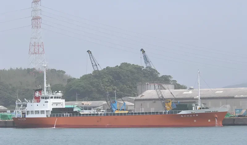 FORTUNE SUPREME General Cargo IMO 9066332 photo 3
