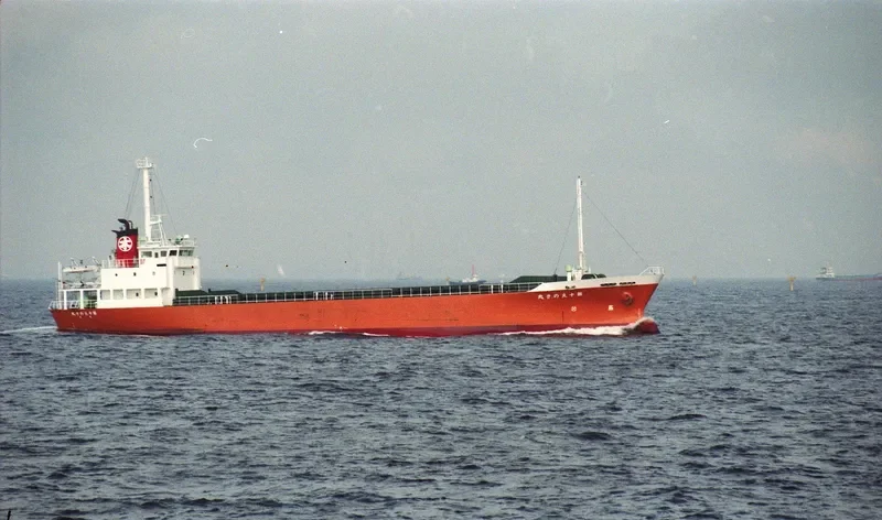 FORTUNE SUPREME General Cargo IMO 9066332 photo 4