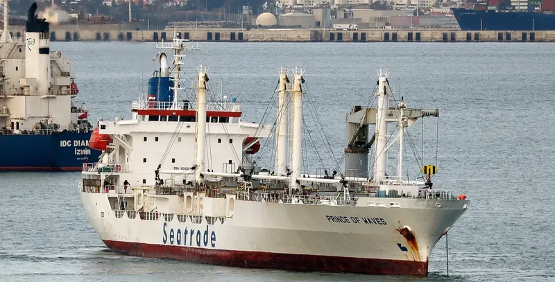 BAO REEFER General Cargo IMO 9066485 photo 3