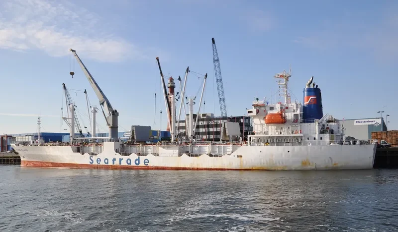 BAO REEFER General Cargo IMO 9066485 photo 8