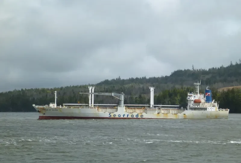 BAO REEFER General Cargo IMO 9066485 photo 10