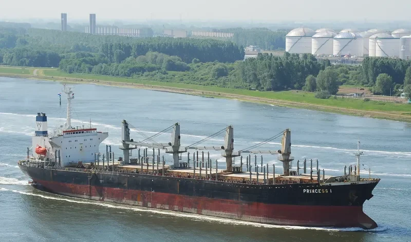 AFRODITI Bulk Carrier IMO 9066758 photo 2