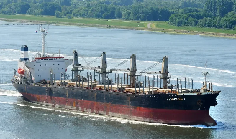AFRODITI Bulk Carrier IMO 9066758 photo 3