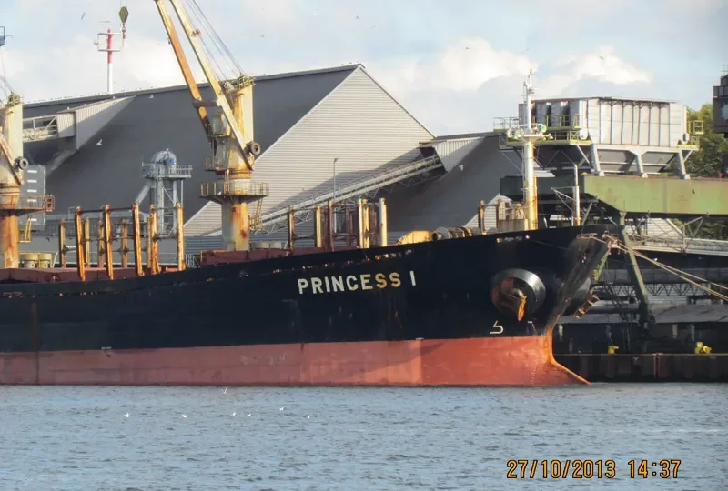 AFRODITI Bulk Carrier IMO 9066758 photo 7