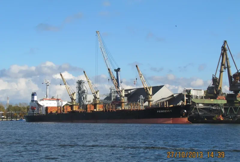 AFRODITI Bulk Carrier IMO 9066758 photo 8