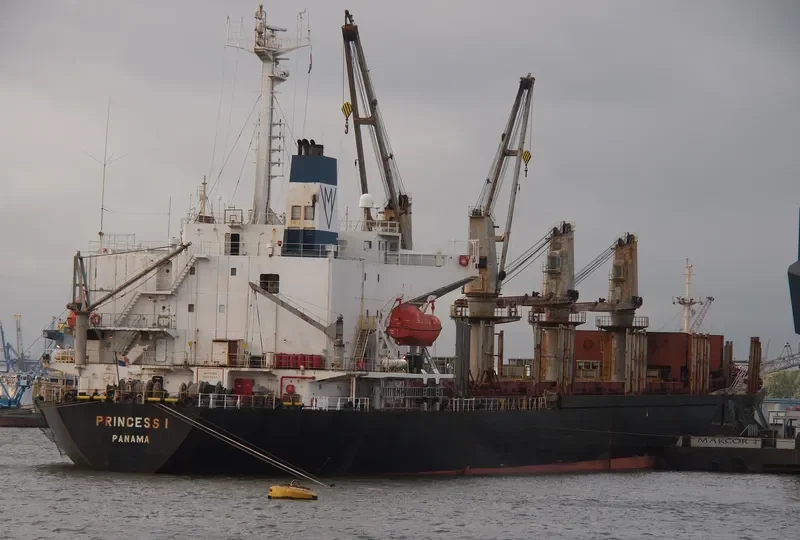 AFRODITI Bulk Carrier IMO 9066758 photo 9