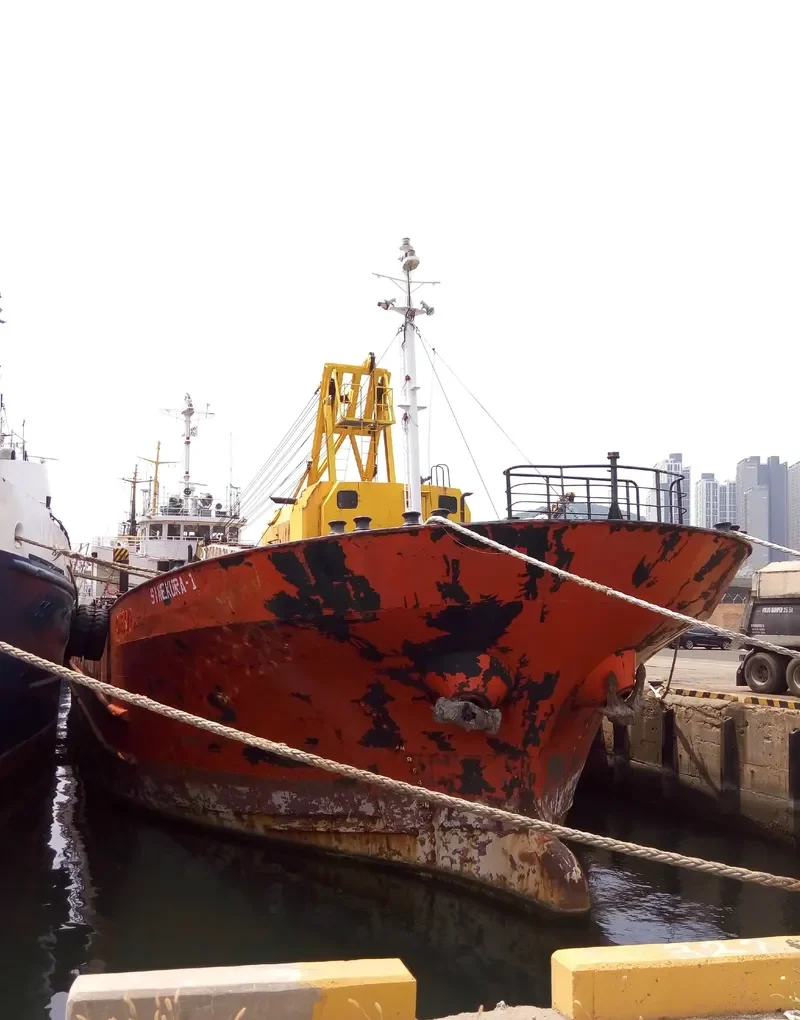 MYS OSTROVNOY General Cargo IMO 9066875 photo 2