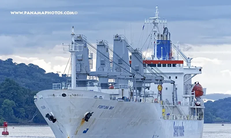 YONG HANG 3 General Cargo IMO 9067128 photo 6
