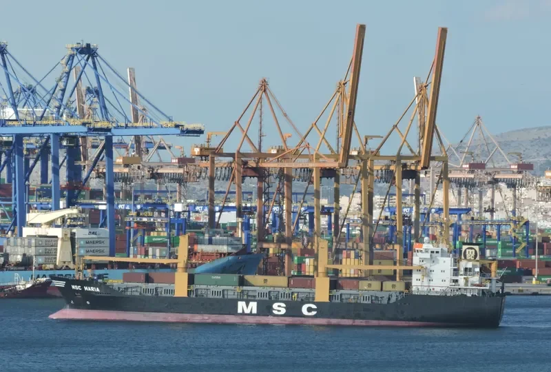 MSC MARIA Ro-Ro IMO 9067544 photo 5