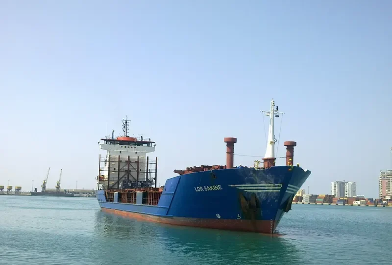 LDR SAKINE General Cargo IMO 9067582 photo 5