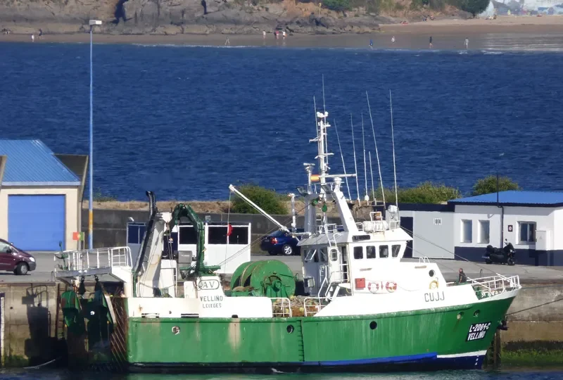 VELLINO General Cargo IMO 9067738