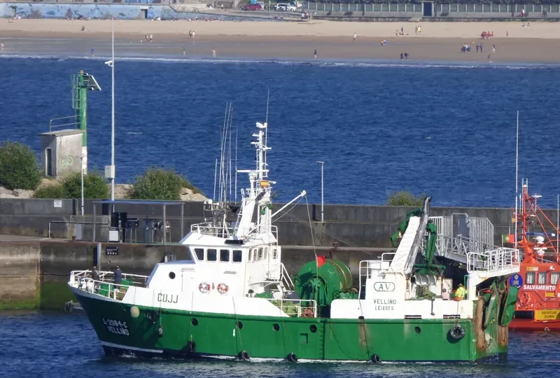 VELLINO General Cargo IMO 9067738 photo 2