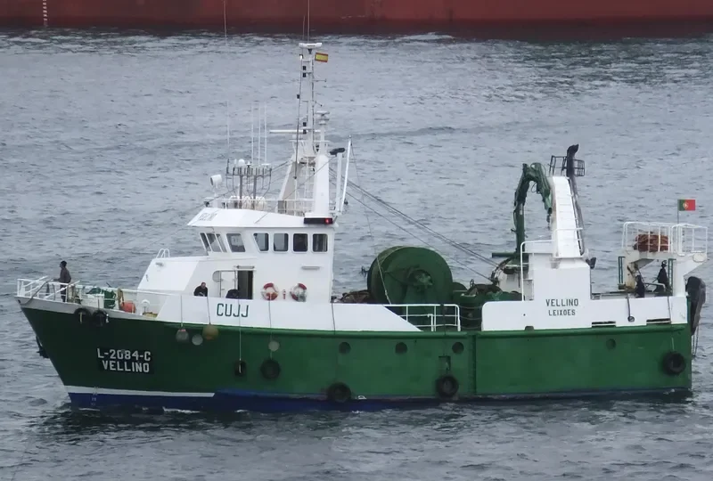 VELLINO General Cargo IMO 9067738 photo 7