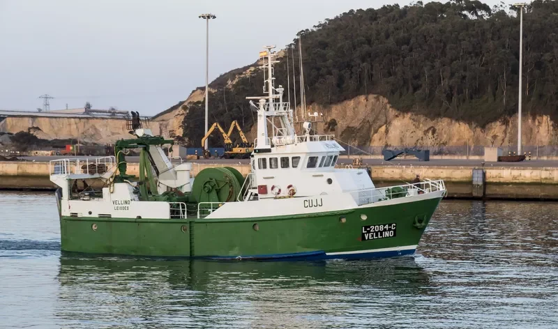VELLINO General Cargo IMO 9067738 photo 8