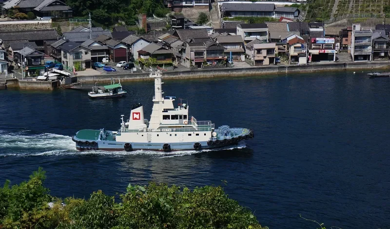 OHTA MARU General Cargo IMO 9067893 photo 9