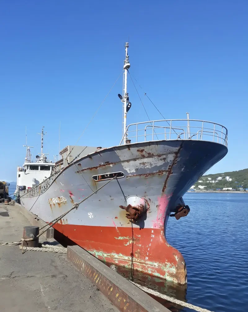 STARATEL General Cargo IMO 9067996 photo 2