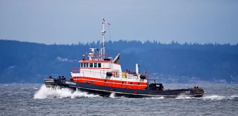 REECE EAGLE General Cargo IMO 9068160 photo 4