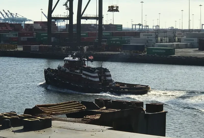 ROBERT E.MCALLISTER General Cargo IMO 9068574 photo 6