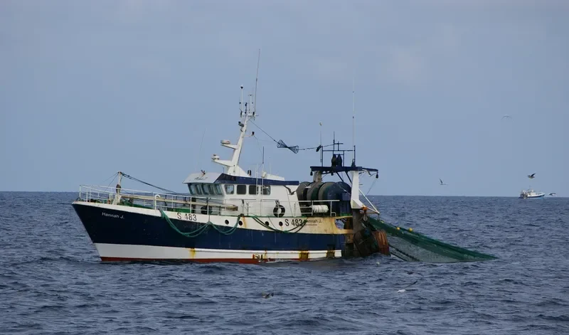 HANNAH J General Cargo IMO 9068598 photo 3