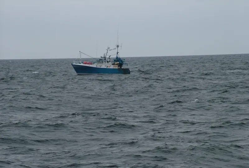 HANNAH J General Cargo IMO 9068598 photo 5