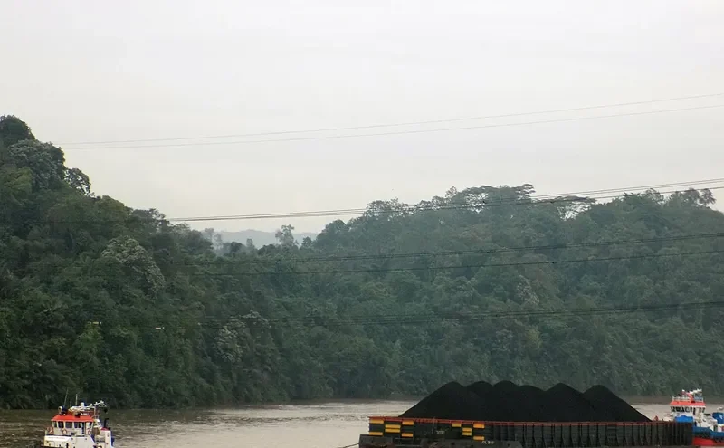 CAMAR 3 General Cargo IMO 9068641 photo 3