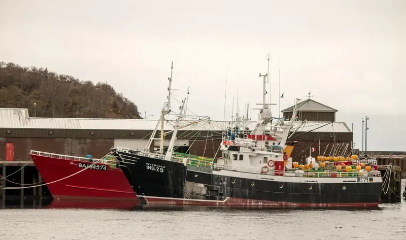 INVERDALE General Cargo IMO 9068976
