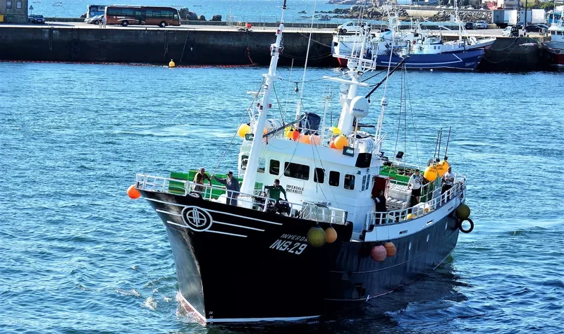 INVERDALE General Cargo IMO 9068976 photo 4