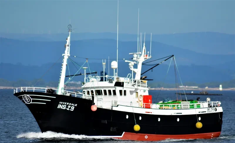 INVERDALE General Cargo IMO 9068976 photo 7