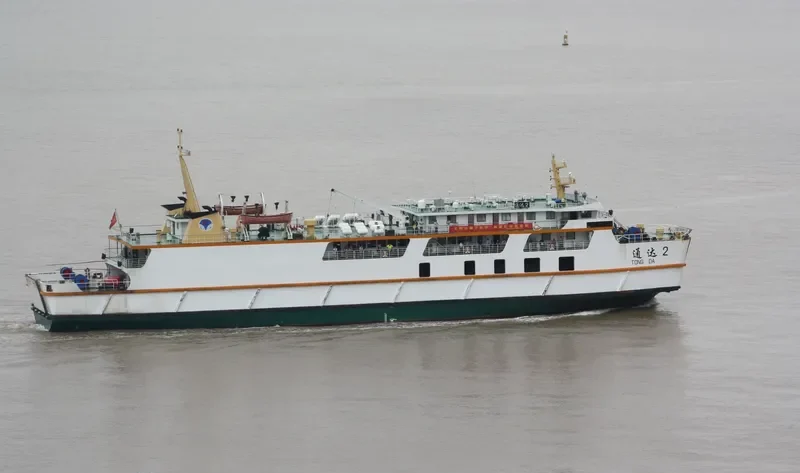 TONG DA 2 Ro-Ro IMO 9069085 photo 2
