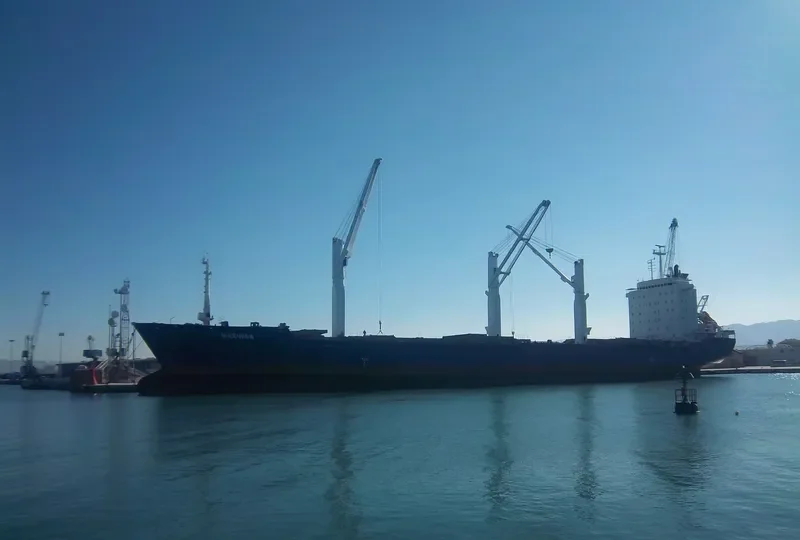GLORY 2 Container Ship IMO 9070008 photo 10