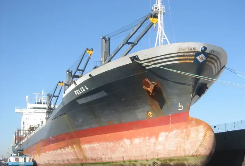 FELIZ L General Cargo IMO 9070010