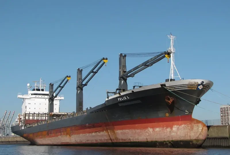 FELIZ L General Cargo IMO 9070010 photo 7