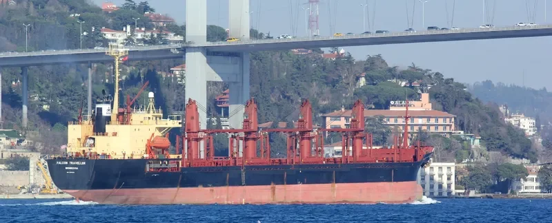 ZEINAB Bulk Carrier IMO 9070424 photo 7