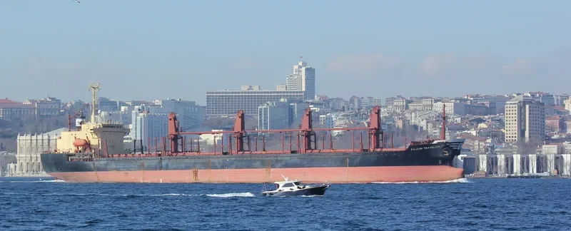 ZEINAB Bulk Carrier IMO 9070424 photo 8