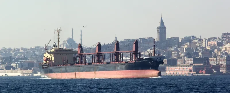ZEINAB Bulk Carrier IMO 9070424 photo 9