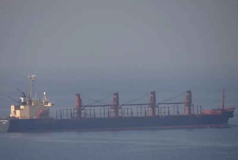 ZEINAB Bulk Carrier IMO 9070424 photo 10