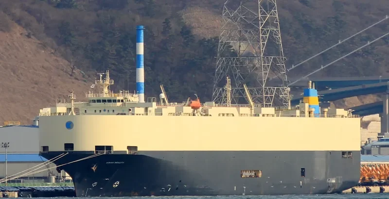 K.ASIAN BEAUTY General Cargo IMO 9070462 photo 2