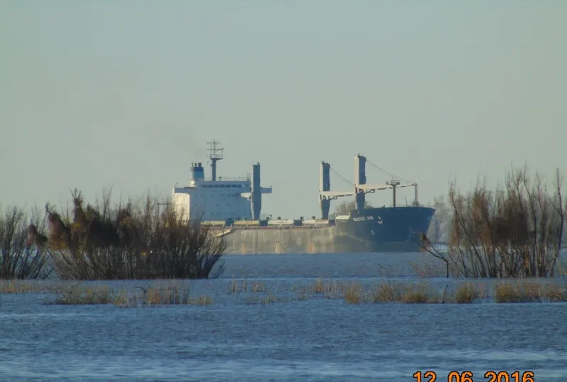 MARCOS DIAS Bulk Carrier IMO 9070565 photo 3