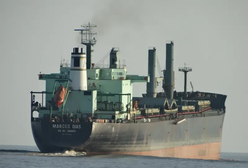 MARCOS DIAS Bulk Carrier IMO 9070565 photo 5